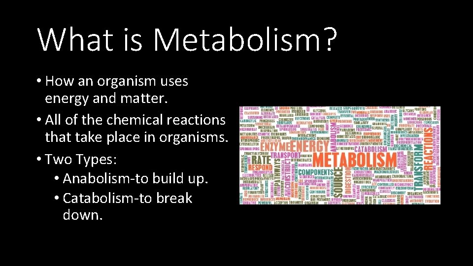 What is Metabolism? • How an organism uses energy and matter. • All of