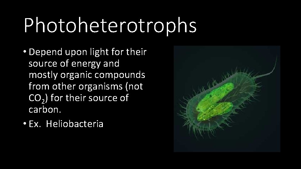 Photoheterotrophs • Depend upon light for their source of energy and mostly organic compounds