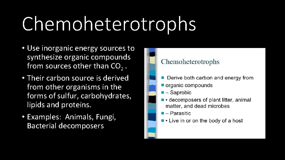 Chemoheterotrophs • Use inorganic energy sources to synthesize organic compounds from sources other than