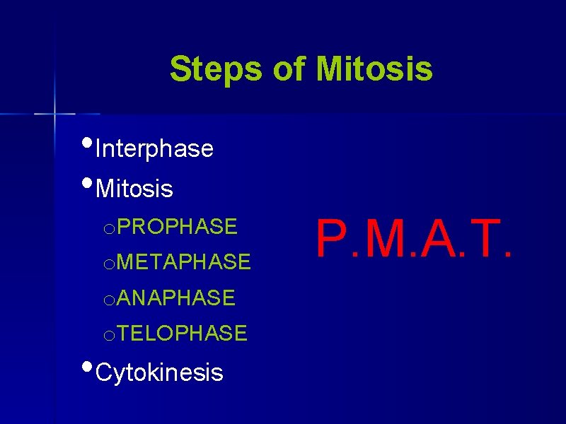 Steps of Mitosis • Interphase • Mitosis o. PROPHASE o. METAPHASE o. ANAPHASE o.