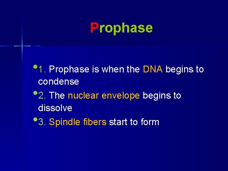 Prophase • 1. Prophase is when the DNA begins to • • condense 2.