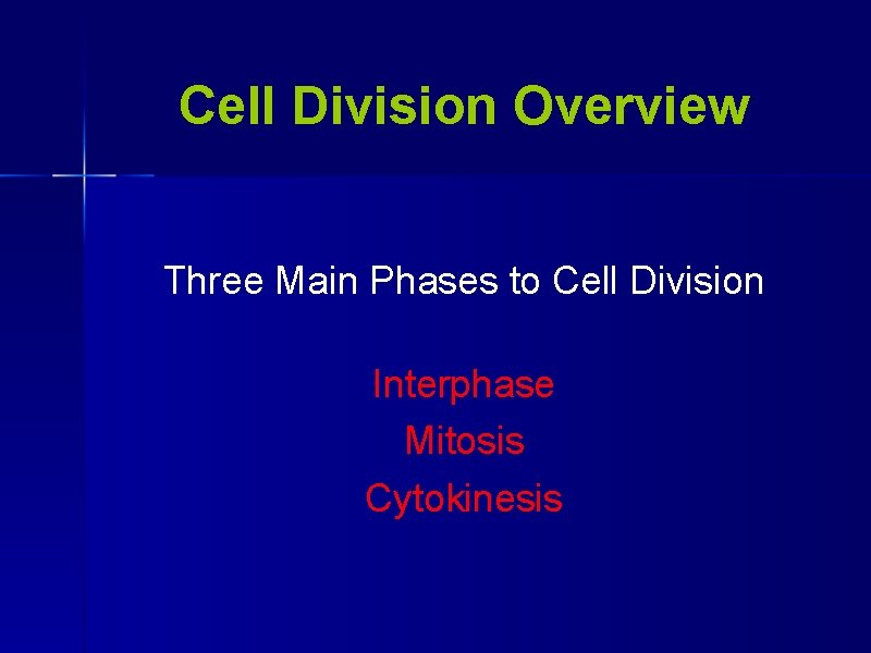 Cell Division Overview Three Main Phases to Cell Division Interphase Mitosis Cytokinesis 