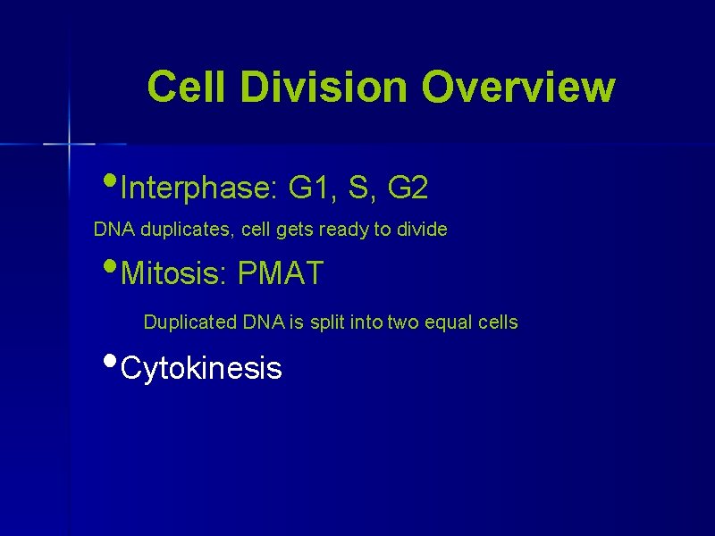 Cell Division Overview • Interphase: G 1, S, G 2 DNA duplicates, cell gets