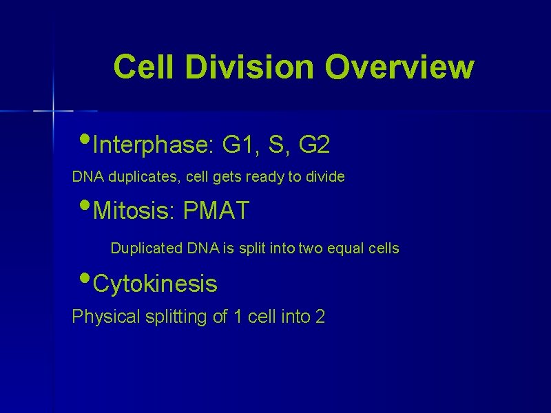 Cell Division Overview • Interphase: G 1, S, G 2 DNA duplicates, cell gets