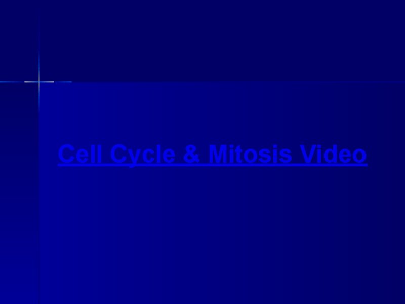 Cell Cycle & Mitosis Video 