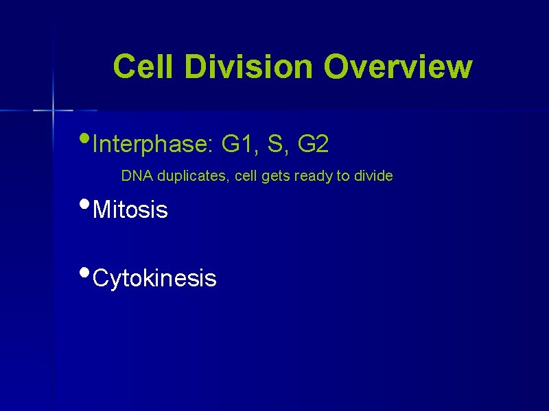 Cell Division Overview • Interphase: G 1, S, G 2 DNA duplicates, cell gets
