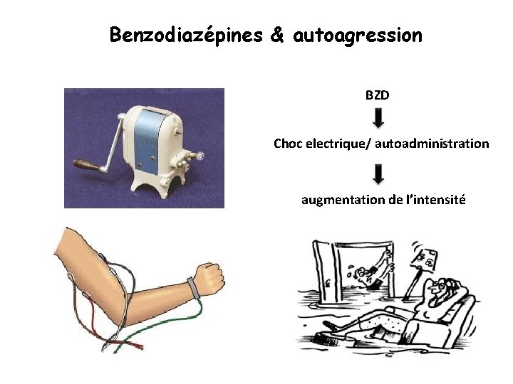 Benzodiazépines & autoagression BZD Choc electrique/ autoadministration augmentation de l’intensité 