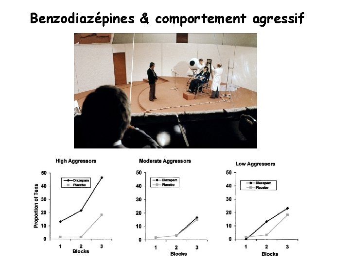 Benzodiazépines & comportement agressif 