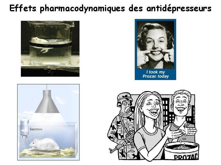 Effets pharmacodynamiques des antidépresseurs 