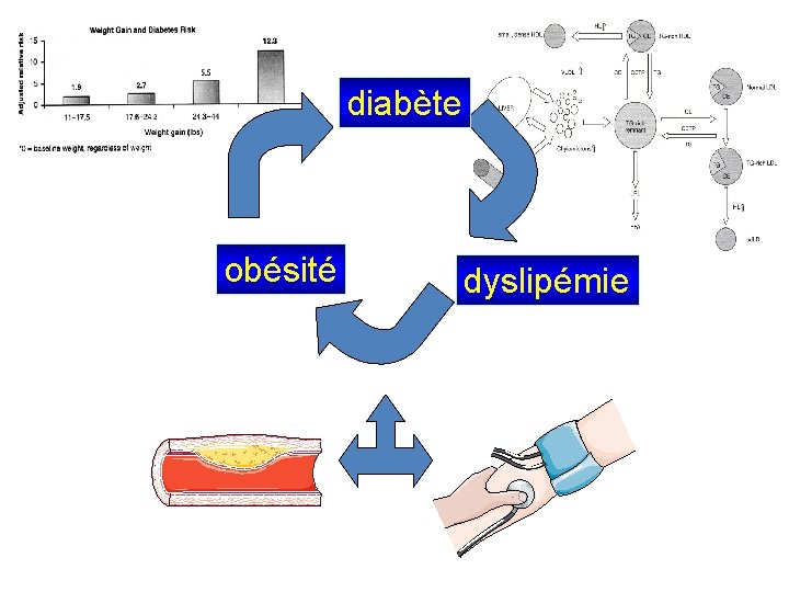 diabète obésité dyslipémie 