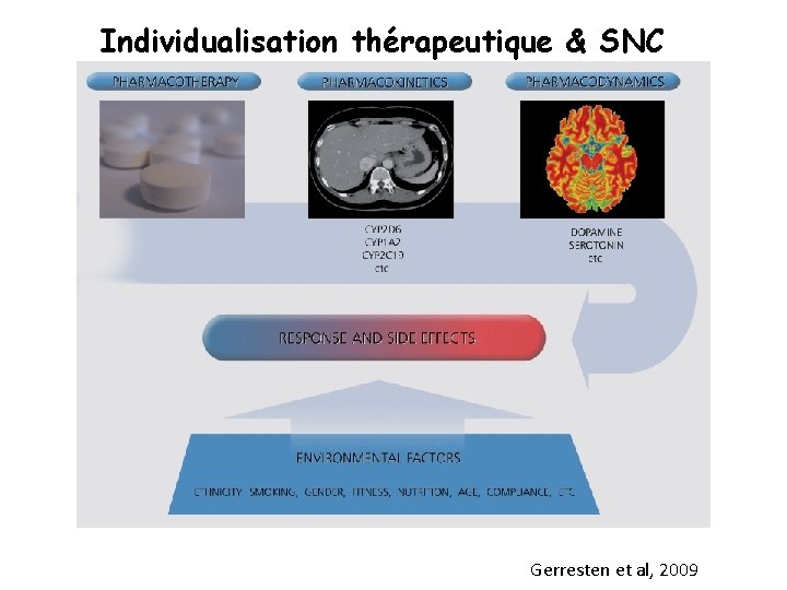 Individualisation thérapeutique & SNC Gerresten et al, 2009 