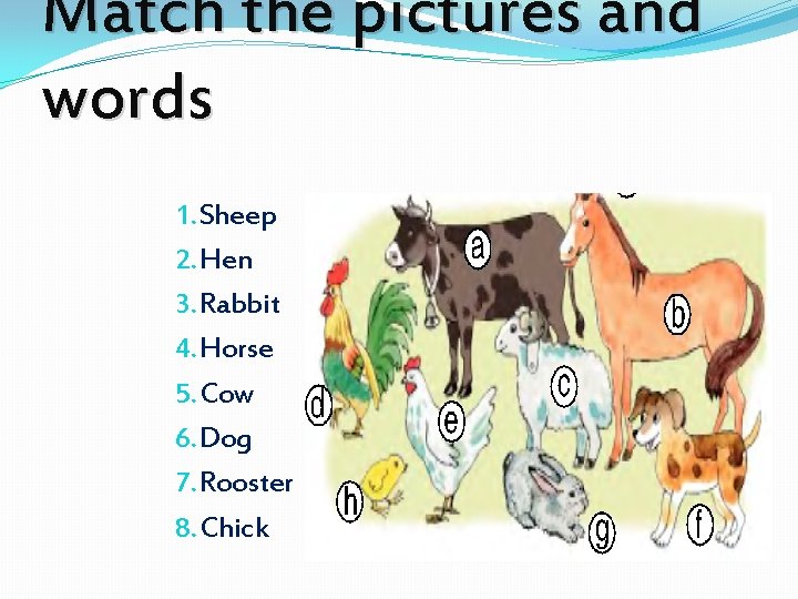 Match the pictures and words 1. Sheep 2. Hen 3. Rabbit 4. Horse 5.