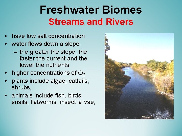 Freshwater Biomes Streams and Rivers • have low salt concentration • water flows down