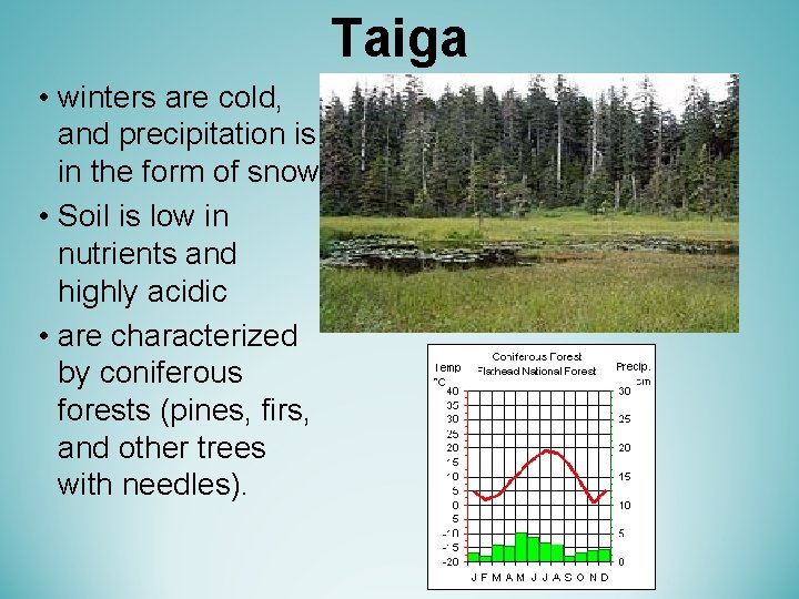 Taiga • winters are cold, and precipitation is in the form of snow. •