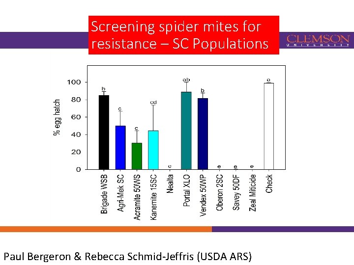 Screening spider mites for resistance – SC Populations Paul Bergeron & Rebecca Schmid-Jeffris (USDA