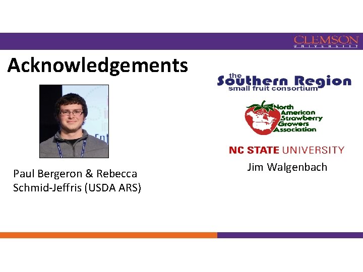 Acknowledgements Paul Bergeron & Rebecca Schmid-Jeffris (USDA ARS) Jim Walgenbach 