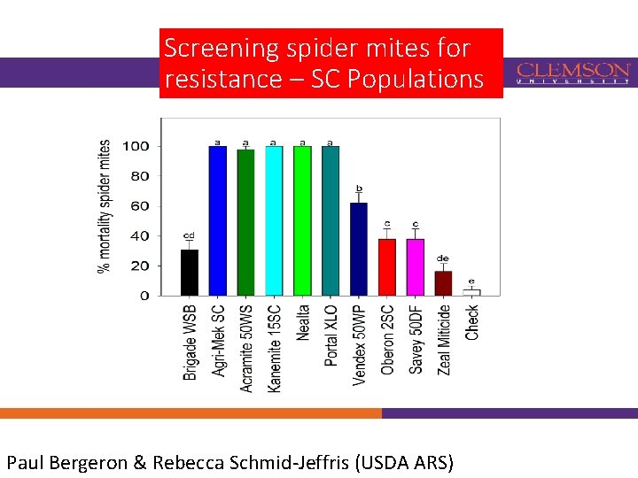 Screening spider mites for resistance – SC Populations Paul Bergeron & Rebecca Schmid-Jeffris (USDA