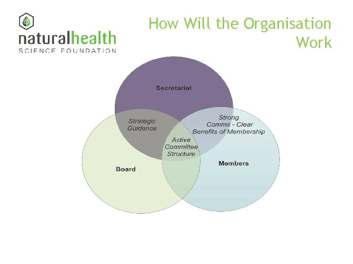 How Will the Organisation Work 