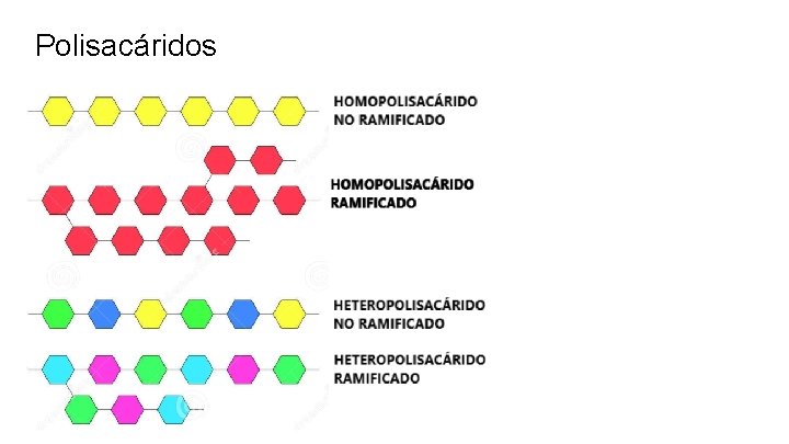 Polisacáridos 