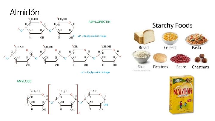 Almidón 