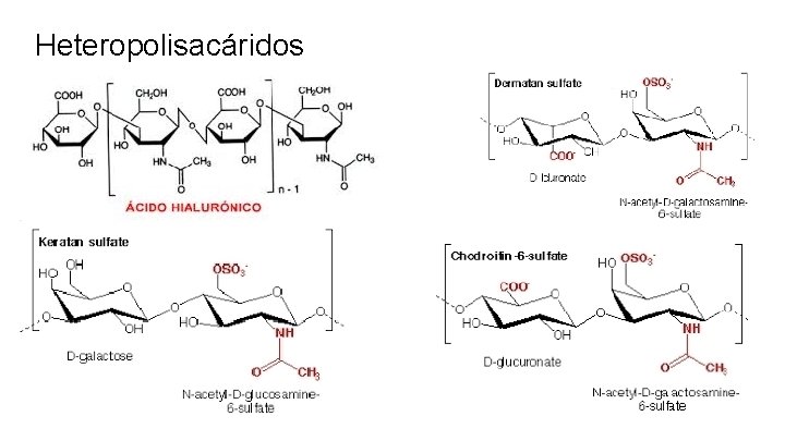 Heteropolisacáridos 