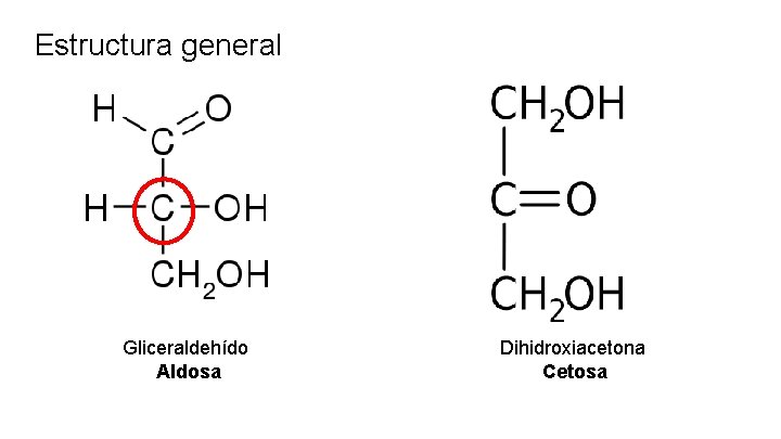 Estructura general Gliceraldehído Aldosa Dihidroxiacetona Cetosa 