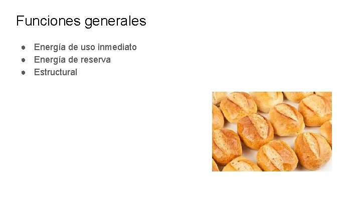 Funciones generales ● Energía de uso inmediato ● Energía de reserva ● Estructural 