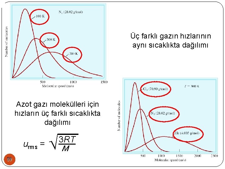 Üç farklı gazın hızlarının aynı sıcaklıkta dağılımı Azot gazı molekülleri için hızların üç farklı