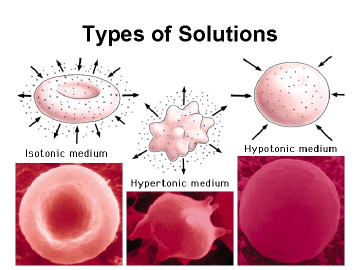 Types of Solutions 