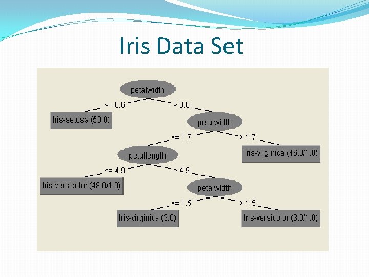 Iris Data Set 