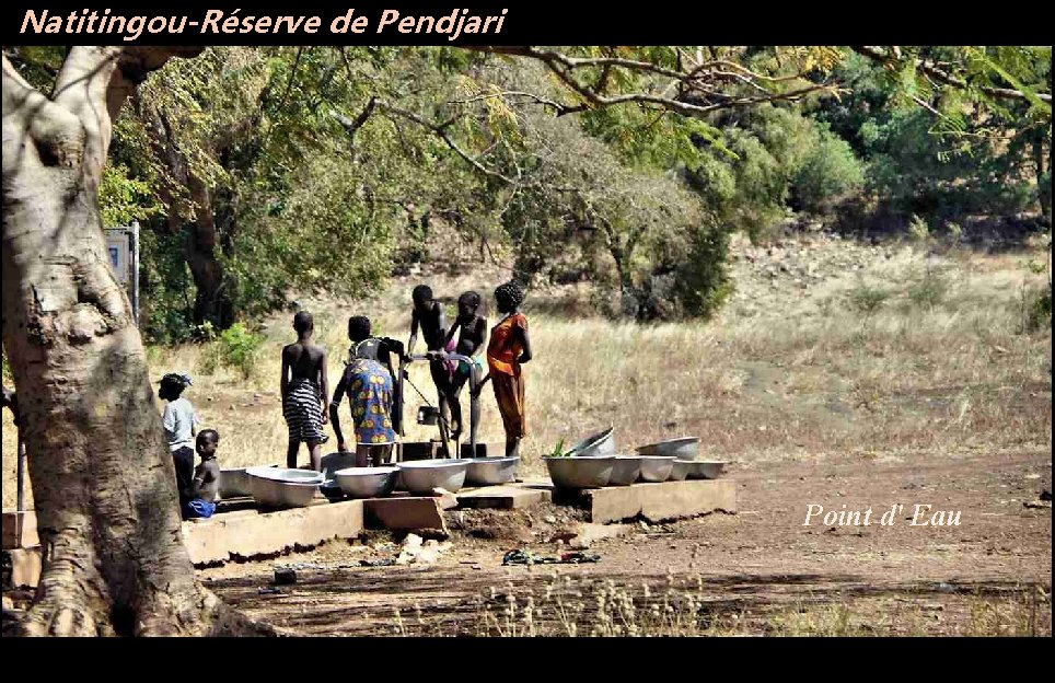 Natitingou-Réserve de Pendjari Point d' Eau 