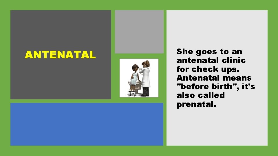 ANTENATAL She goes to an antenatal clinic for check ups. Antenatal means "before birth",