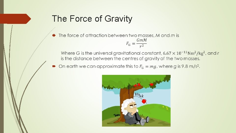 The Force of Gravity 