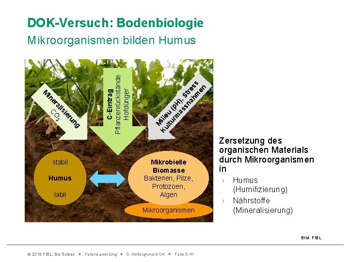 DOK-Versuch: Bodenbiologie e in ng ru O 2 ie C lis ra Humus labil