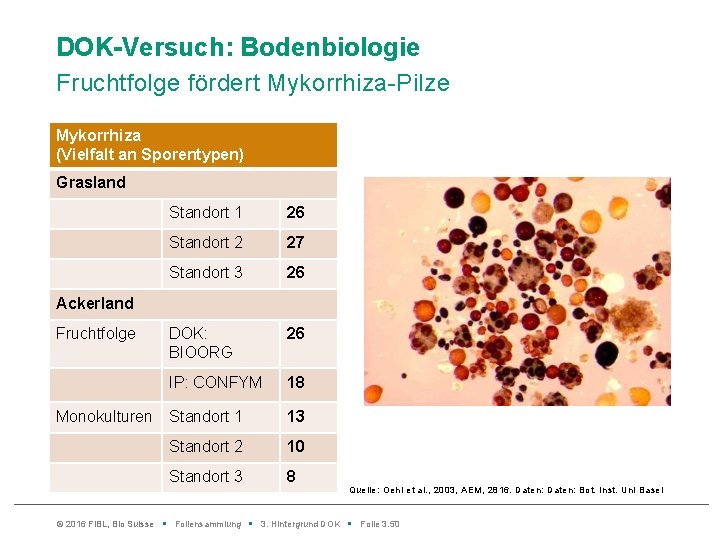 DOK-Versuch: Bodenbiologie Fruchtfolge fördert Mykorrhiza-Pilze Mykorrhiza (Vielfalt an Sporentypen) Grasland Standort 1 26 Standort