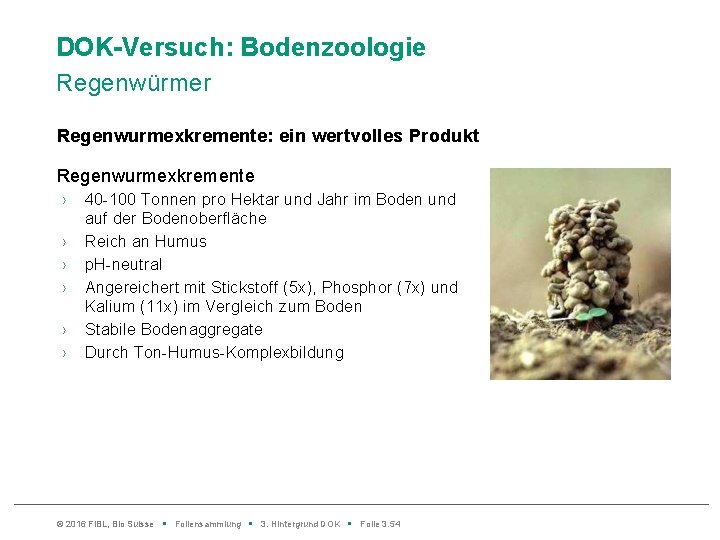 DOK-Versuch: Bodenzoologie Regenwürmer Regenwurmexkremente: ein wertvolles Produkt Regenwurmexkremente › › › 40 -100 Tonnen