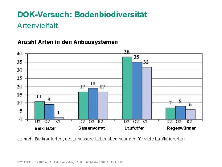 DOK-Versuch: Bodenbiodiversität Artenvielfalt Anzahl Arten in den Anbausystemen Beikräuter Samenvorrat Laufkäfer Regenwürmer Je mehr