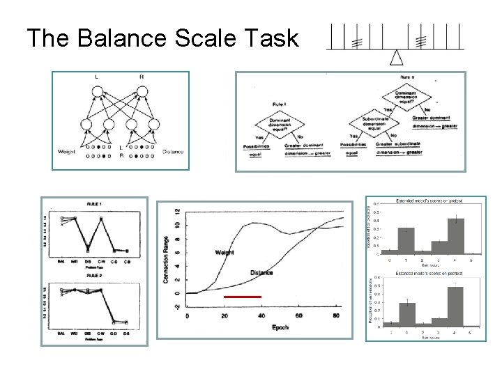 The Balance Scale Task 