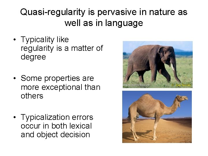 Quasi-regularity is pervasive in nature as well as in language • Typicality like regularity