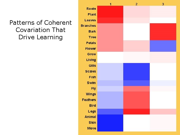 Patterns of Coherent Covariation That Drive Learning 