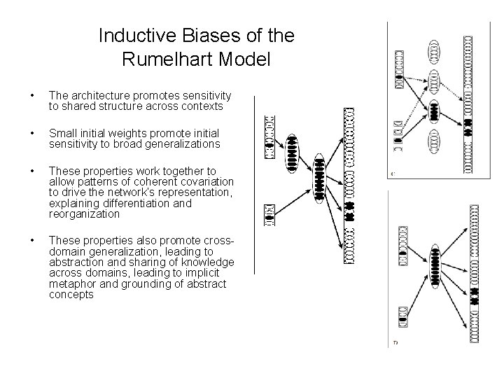 Inductive Biases of the Rumelhart Model • The architecture promotes sensitivity to shared structure