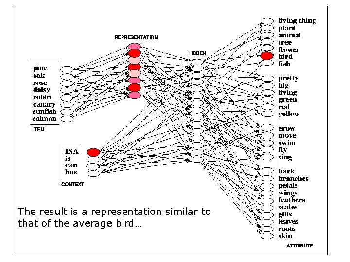 The result is a representation similar to that of the average bird… 