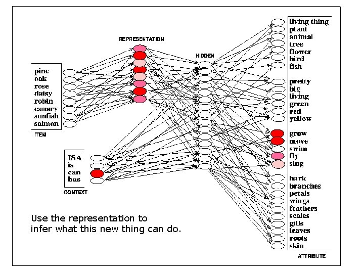 Use the representation to infer what this new thing can do. 