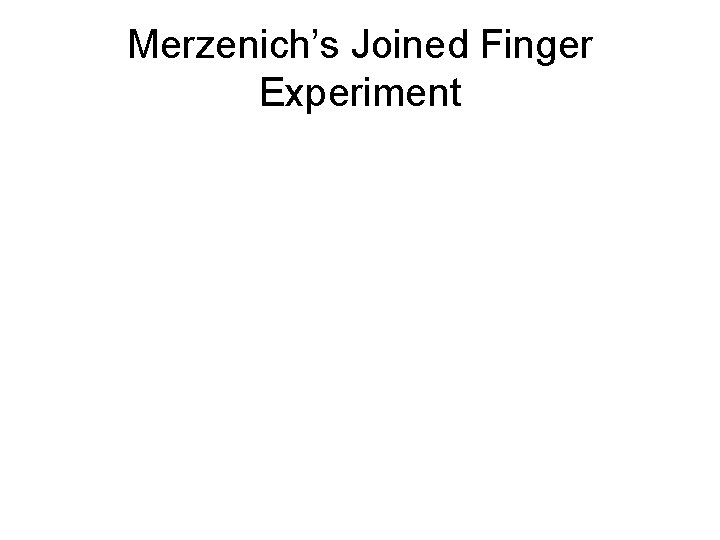 Merzenich’s Joined Finger Experiment 