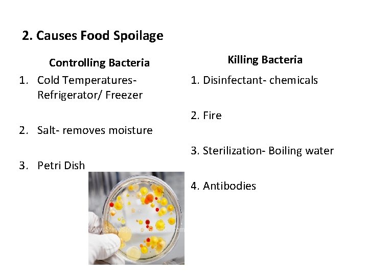 2. Causes Food Spoilage Controlling Bacteria 1. Cold Temperatures. Refrigerator/ Freezer 2. Salt- removes