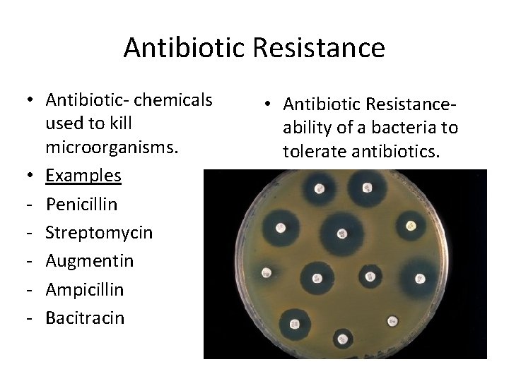 Antibiotic Resistance • Antibiotic- chemicals used to kill microorganisms. • Examples - Penicillin -