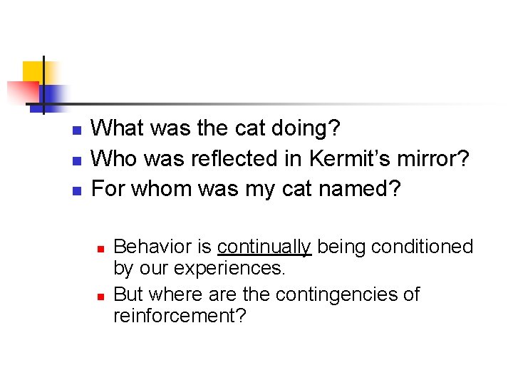 n n n What was the cat doing? Who was reflected in Kermit’s mirror?