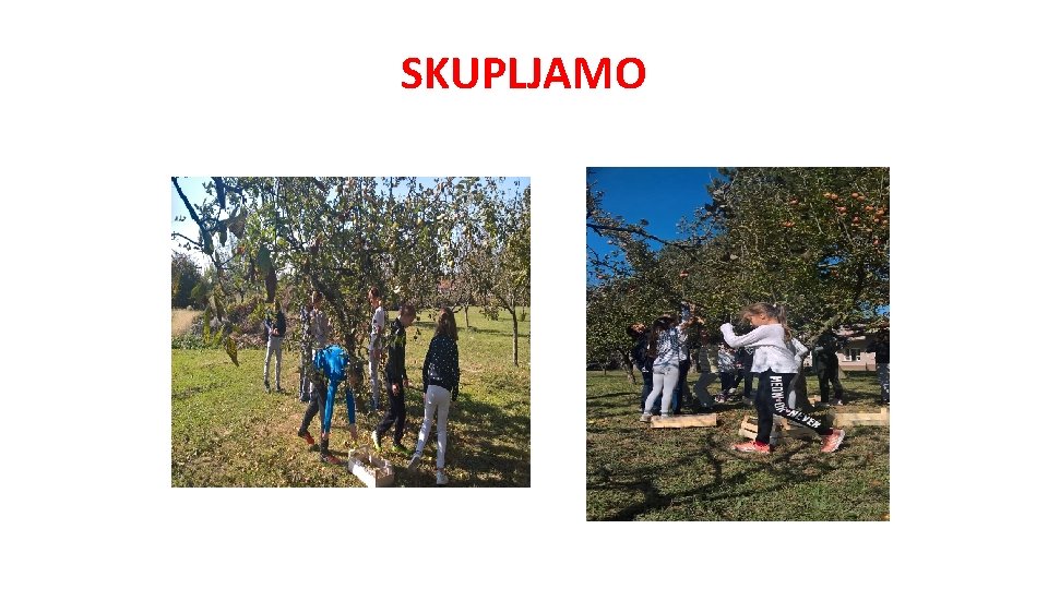 SKUPLJAMO 