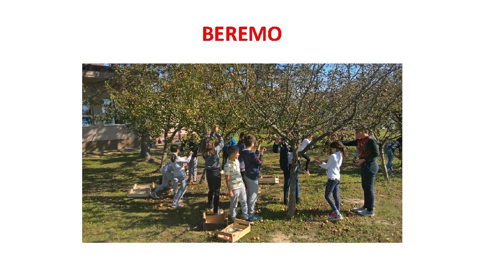 BEREMO 