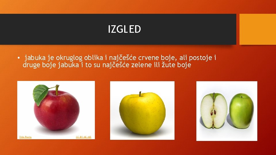 IZGLED • jabuka je okruglog oblika i najčešće crvene boje, ali postoje i druge